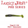 Lucky John Tioga 5.1 CM