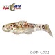 Clonay 5 CM Laminat -L001