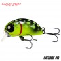Lucky John Haira Tiny Shallow 33F