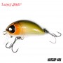 Lucky John Haira Tiny Shallow 33F