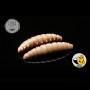 Naluca Pastrav Larva Worm 3.5cm Libra Lures