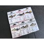 FUDO FEEDER - BN