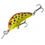 DIVER 4 CM - BX