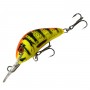 DIVER 4 CM - PO