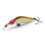 Jackson Qu-on Kanade 4 cm & 3 gr Sinking STB