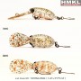 HMKL Inch Crank 2.5cm/1.8G DR Floating