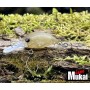 MUKAI SNAQ26DR (F) - 