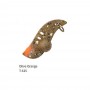 Palms Cicada Bottom Harp Vib - T-615