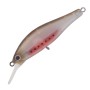 PALM'S VOBLER ALEXANDRA AX-60XHW