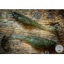 LIBRA EMBRION SHAD 7.5CM
