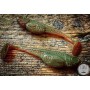 LIBRA EMBRION SHAD 7.5CM