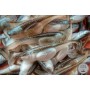 LIBRA EMBRION SHAD 7.5CM - 
