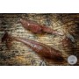 LIBRA EMBRION SHAD 5CM