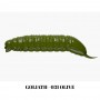 LIBRA GOLIATH 3,5cm, 1.05g, 12 buc