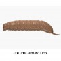 LIBRA GOLIATH 3,5cm, 1.05g, 12 buc
