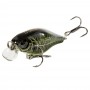 LUCKY JOHN CHUBBY 4F - 029