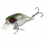 LUCKY JOHN CHUBBY 4F - 