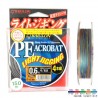 Fir Textil Raiglon PE Acrobat Light Jigging 4 Braided 100m